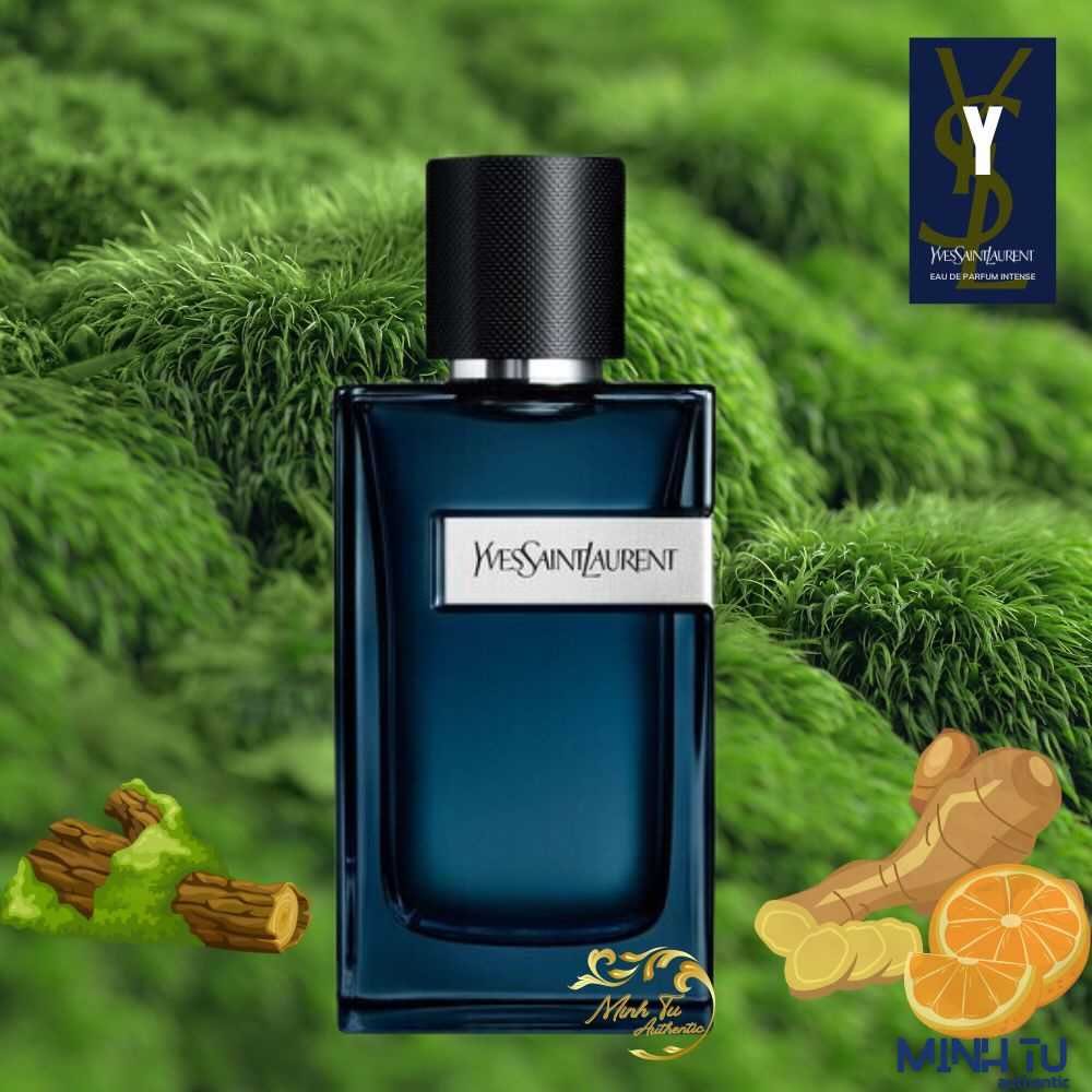 YSL Y EDP Intense